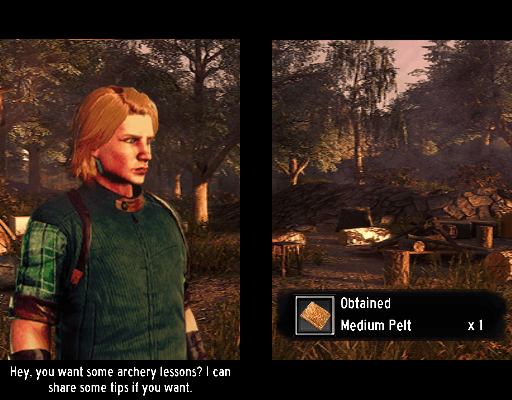 SilverFallsGDDD3DS-01.png
