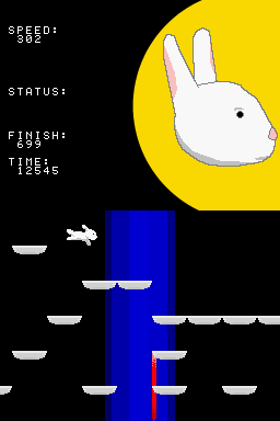 bunnyrun4.png