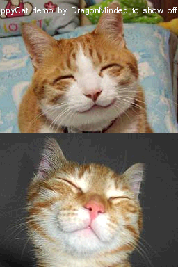 happycat.png