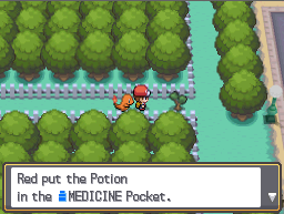 Pokémon Heart Red ROM - Nintendo DS Game