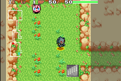 Pokemon Mystery Dungeon: Red Rescue Team ROM, GBA Game