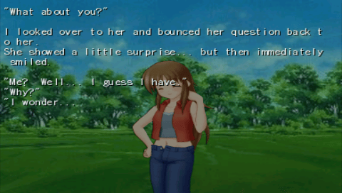 wandererspsp3.png