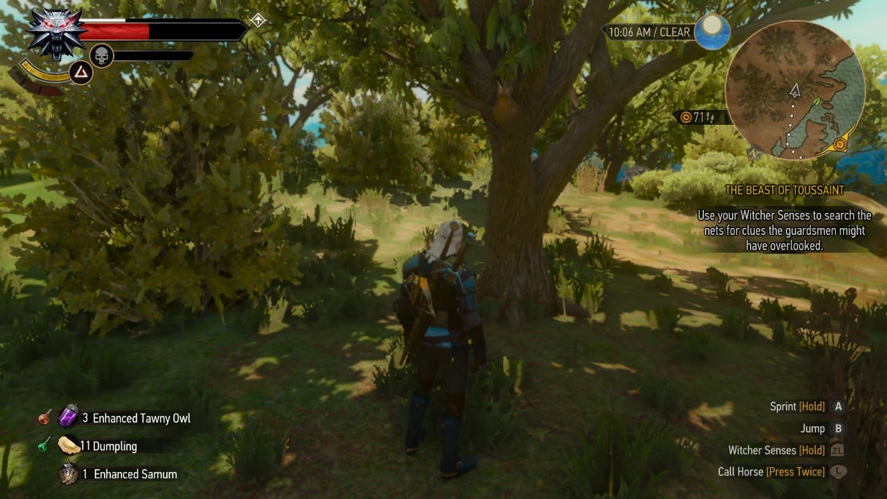 thewitcher3enhancedsettingsnx2.jpg